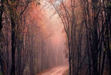 开云体育：郎平再获荣誉！运动员和教练期间多次创造历史，是中国女排第一人.