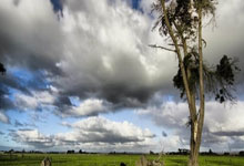 开云体育：[德甲]凯恩、吉拉西追逐德甲单赛季进球新纪录.