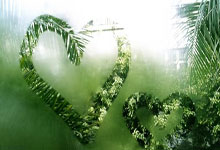 意甲战报：基恩一锤定音，佛罗伦萨主场1-0亚特兰大.