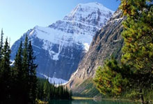 意甲战报：基恩一锤定音，佛罗伦萨主场1-0亚特兰大.