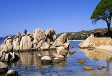 开云体育：[德甲]凯恩、吉拉西追逐德甲单赛季进球新纪录.